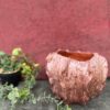 vase.naia.marron.2